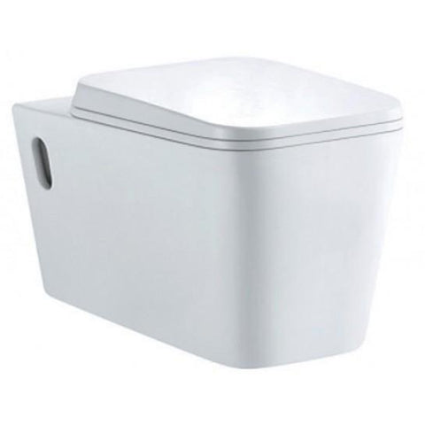 Earth Wall-Hung Toilet With Soft Close Seat Wall Hung
